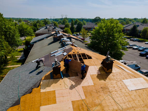 Trusted Storm Damage Roof Repair service in South Bloomingville, OH - Brentwood Metal Roofing